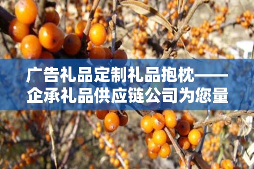 广告礼品定制礼品抱枕——企承礼品供应链公司为您量身定制的独特礼品